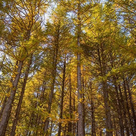 Готель Genting Grand Chongli Екстер'єр фото